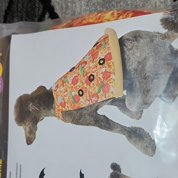 VIBRANT LIFE HALLOWEEN MEDIUM DOG PIZZA ๐ SLICE COSTUME - Picture 3 of 9